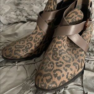 Cheetah booties with metal buckle